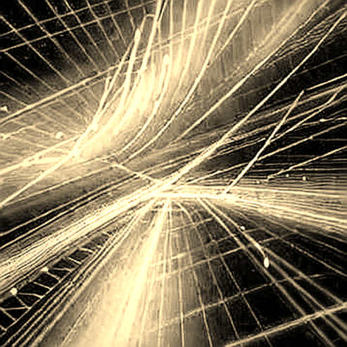When the Tide Turned: The ETF Exodus and the Silence of the Network