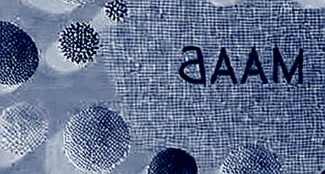 Adobe's $6.76B Quarter Proves AI Monetization Is a Distribution Problem, Not a Model Problem
