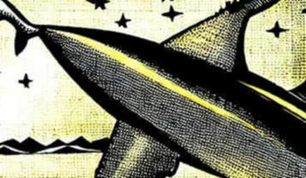 When Data Marries License: The Unusual Whales Split and the Fragility of Crypto’s Centralized Trust
