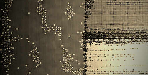 The Empty Block: When Data Silence Speaks Louder Than Any Headline
