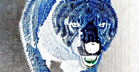 Shibarium’s Silent Collapse: The Data That Proves SHIB’s Zombie State