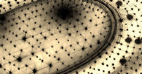 The AI Tax Proposal: A Forensic Look at the Labor Displacement Narrative and Its Crypto Implications