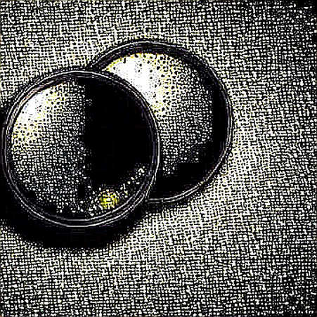 The CAD Bloodbath Is a Crypto Canary: Trade War Flight to Safety Exposes the Sand Beneath Stablecoins The CAD Bloodbath Is a Crypto Canary: Trade War Flight to Safety Exposes the Sand Beneath Stablecoins