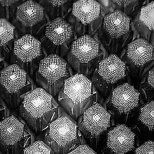 The Architecture of Self-Custody: Why BIP39 Passphrases Expose the Industry’s Structural Flaw