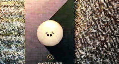 The Blank Report: When N/A Becomes the Loudest Signal in a Bull Market
