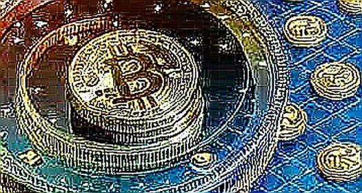 The Empty Ledger: When Crypto Analysis Says Nothing