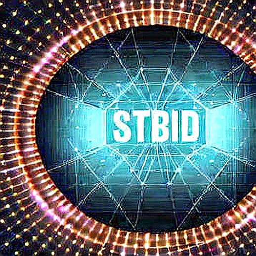 The ESTA Denial That Exposed the Black Box: Why Blockchain Identity Is the Only Way Out