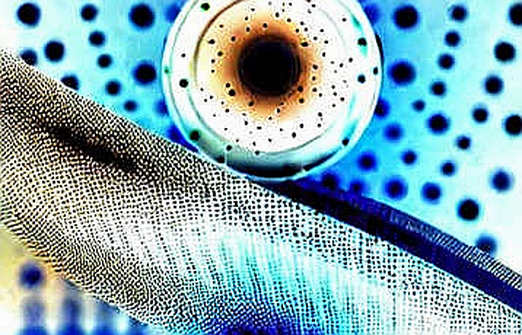 The Seismologist, the Sequencer, and the Sovereignty of Trust: A DAO Governance Reading of the US-China Spy Case